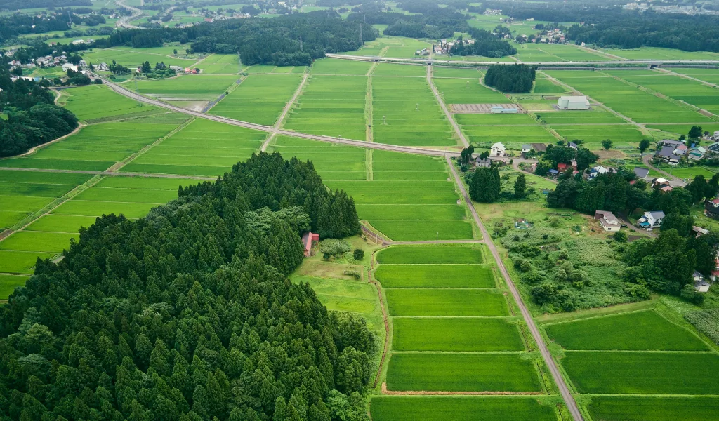 広大な田舎を上空から見た風景