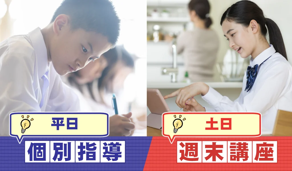個別指導と週末講座のイメージ図