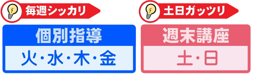 個別指導と週末講座の簡略図